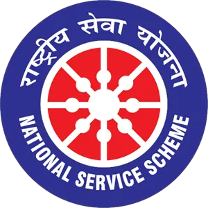 NSS logo