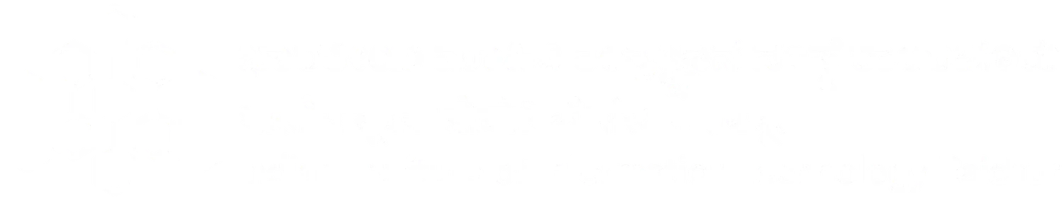Indian Institute of Information Technology, Raichur